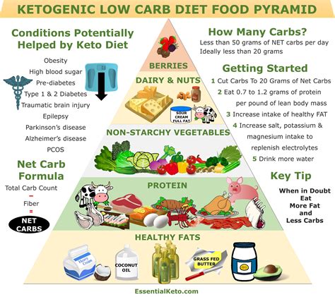 Beginners Guide to the Keto Diet: what it is, why to do it  .